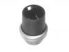 Temperature Sensor Temperat Sensor:251 919 501