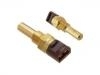 Temperature Sensor:241 726