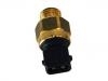 Interruptor de temperatura Temperature Switch:12 63 2 243 816