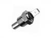 Temperature Sensor Temperature Sensor:171 919 523